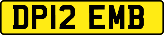 DP12EMB