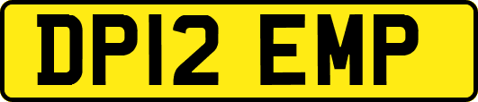 DP12EMP
