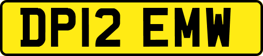 DP12EMW