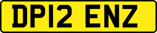 DP12ENZ