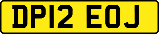DP12EOJ