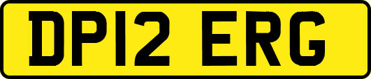 DP12ERG
