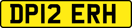 DP12ERH