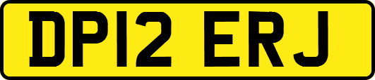 DP12ERJ