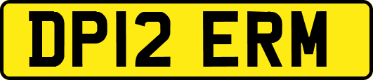 DP12ERM