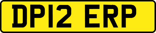 DP12ERP