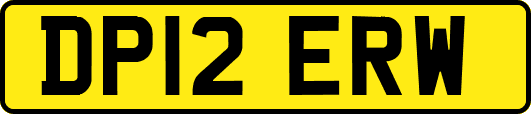 DP12ERW