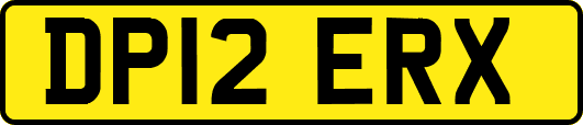 DP12ERX