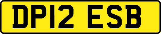 DP12ESB