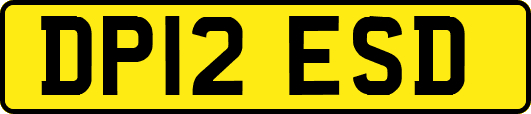 DP12ESD
