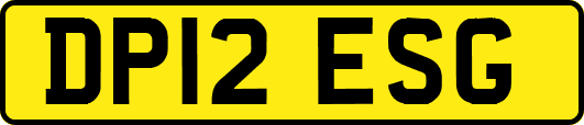 DP12ESG