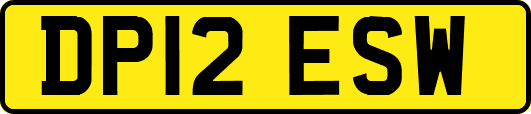 DP12ESW