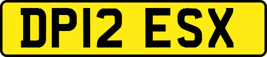 DP12ESX