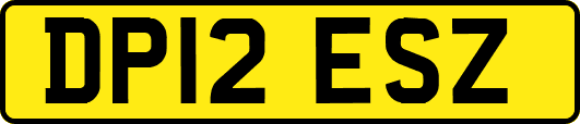 DP12ESZ