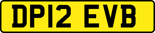 DP12EVB