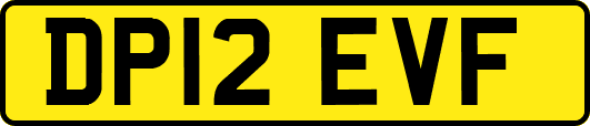DP12EVF