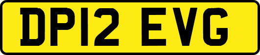 DP12EVG