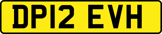 DP12EVH