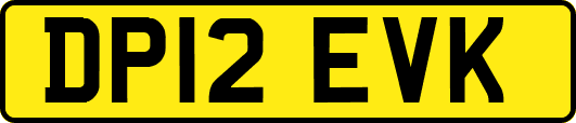DP12EVK