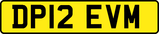 DP12EVM