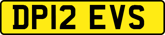 DP12EVS