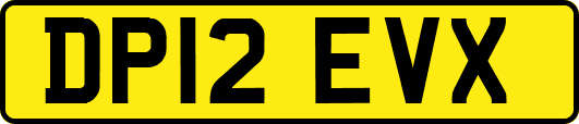 DP12EVX