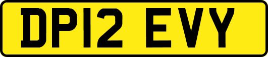 DP12EVY