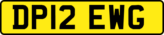 DP12EWG