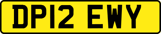 DP12EWY