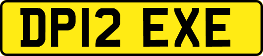 DP12EXE