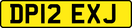 DP12EXJ