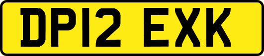 DP12EXK