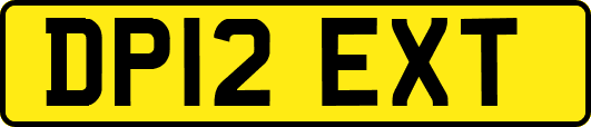 DP12EXT