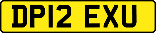 DP12EXU