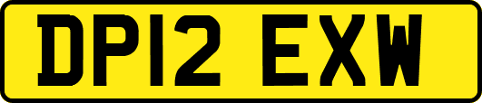 DP12EXW