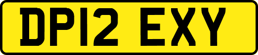DP12EXY