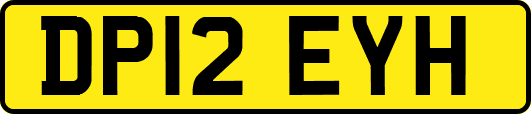 DP12EYH