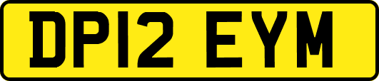 DP12EYM