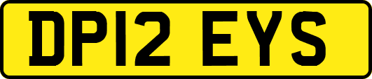 DP12EYS