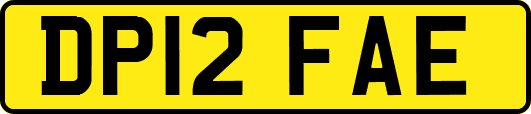 DP12FAE