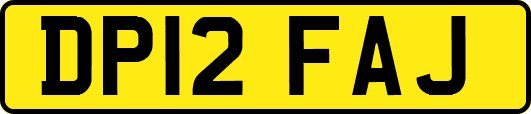 DP12FAJ