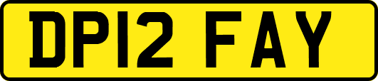 DP12FAY