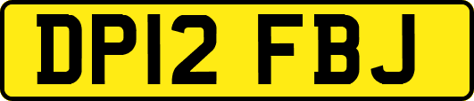 DP12FBJ