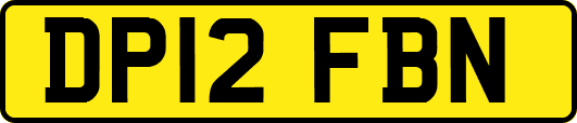 DP12FBN