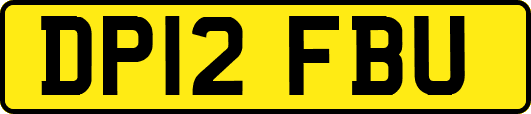 DP12FBU
