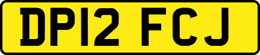 DP12FCJ