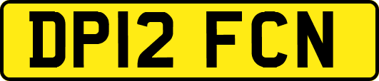 DP12FCN