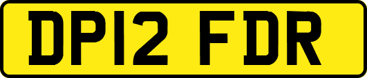DP12FDR