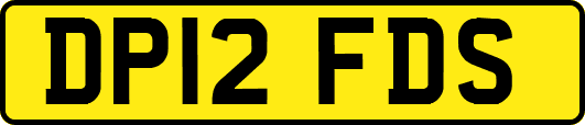 DP12FDS