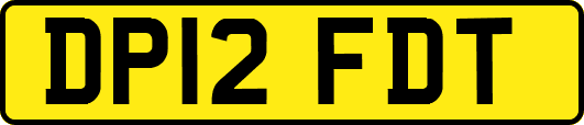 DP12FDT